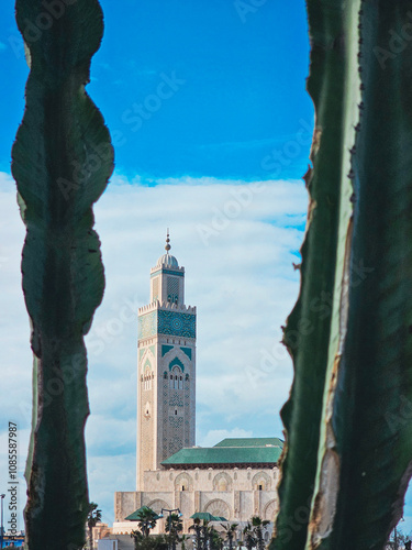 View of the Famous Hassan II Mosque seen from a green cactus plant