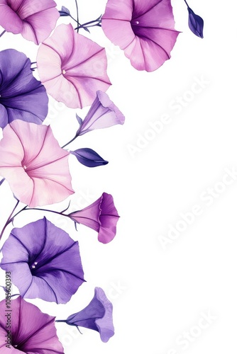 Watercolor Morning Glories on White Background Minimalist Floral Art