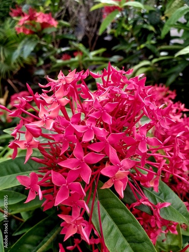 Nature's beauty 
