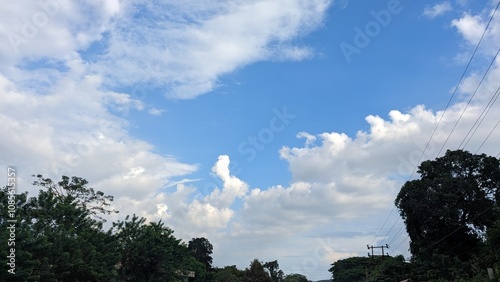 Nature's beauty 