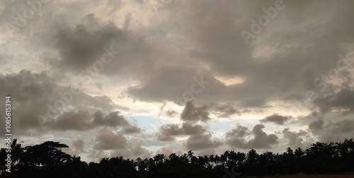 Nature's beauty 