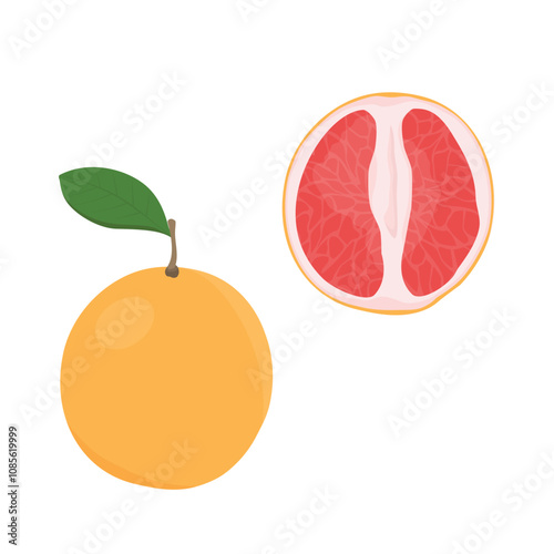 Piece of fresh ripe grapefruit with leaf