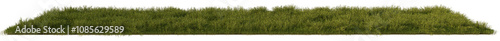 grass line field wild and fresh