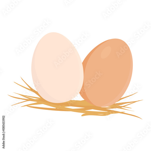 Fresh chichen egg in straw isolated on white background