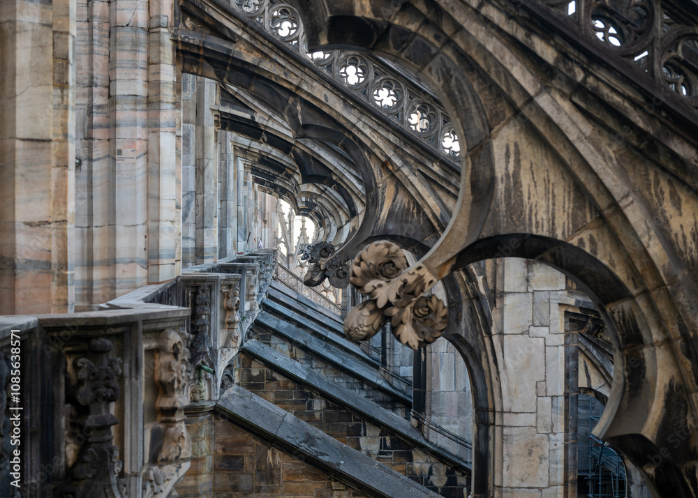 Milano, lombardia, italy, italia
