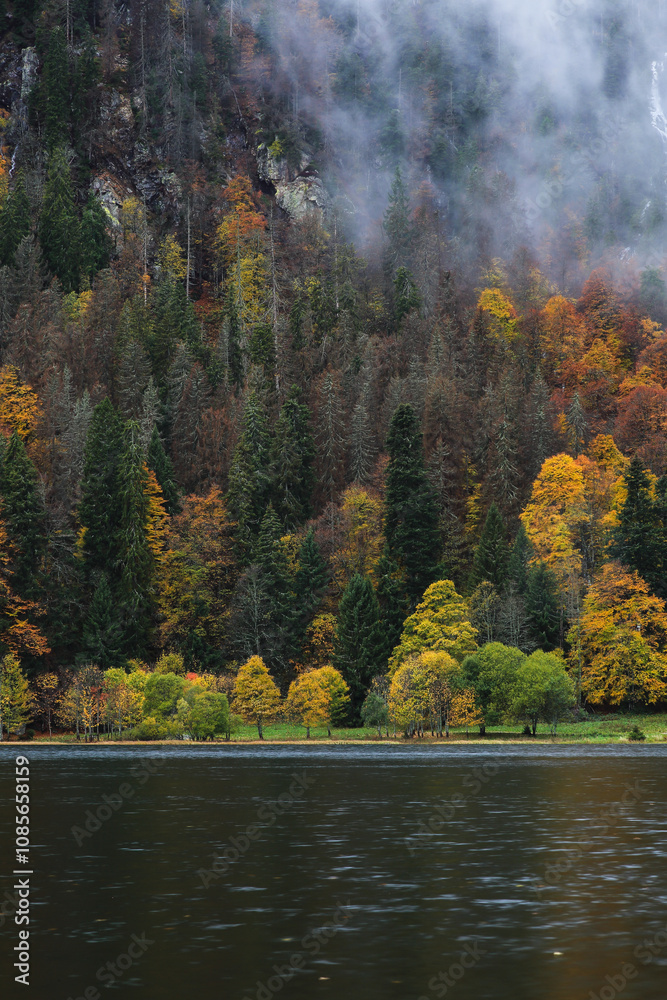 Fototapeta premium Lake in the Black Forest During Autumn