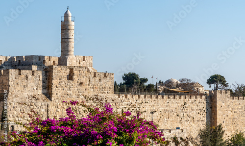 Purple flowers with the Tower of David at Jaffa Gate in Jerusalem