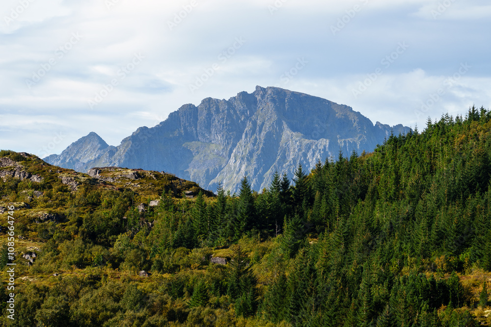 Obraz premium The Majestic and Breathtaking Mountain Landscape is Beautifully Surrounded by Lush Forests