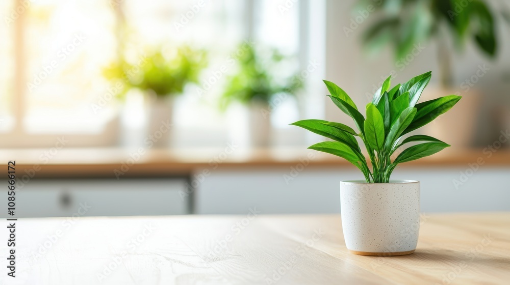 Potted Green Plant on Wooden Table in Bright Indoor Environment, Sunlight Filtering Through Window, Evoking Calm and Fresh Air in Modern Living Space Potted Green Plant on Wooden Table in Bright Indoor Environment, Sunlight Filtering Through Window, Evoking Calm and Fresh Air in Modern Living Space