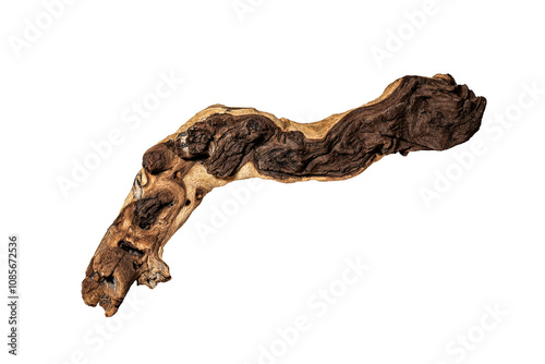 Mopane tree snag isolated on transparent background.	