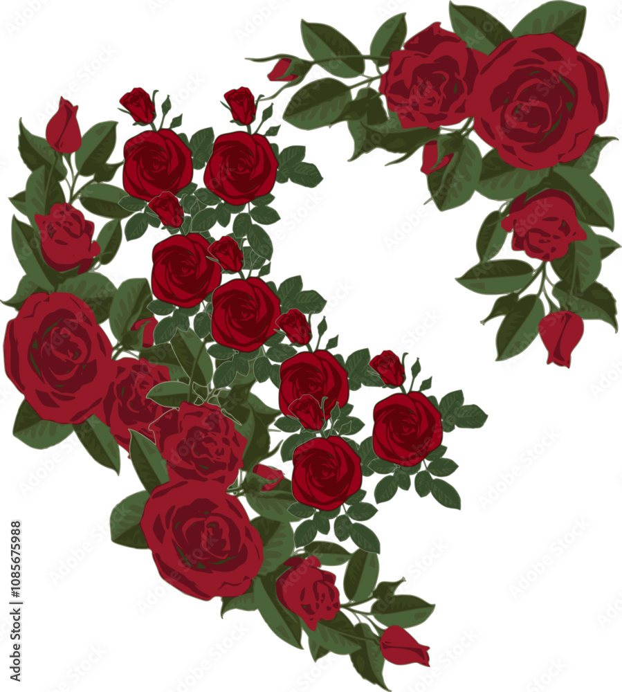 Fototapeta premium The Roses as a Thank You