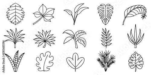 Tropical Leaf Collection: Botanical Line Art for Design Inspiration