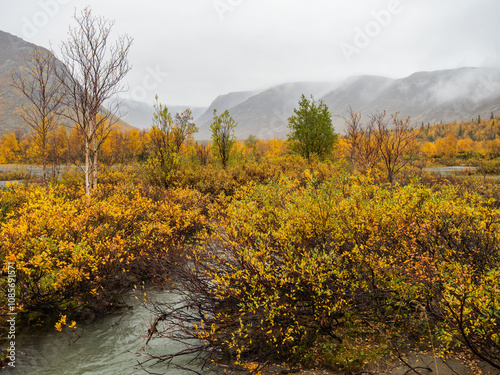 A typical autumn foggy landscape in the Khibiny Mountains in early autumn on the Kola Peninsula in the Arctic Circle photo