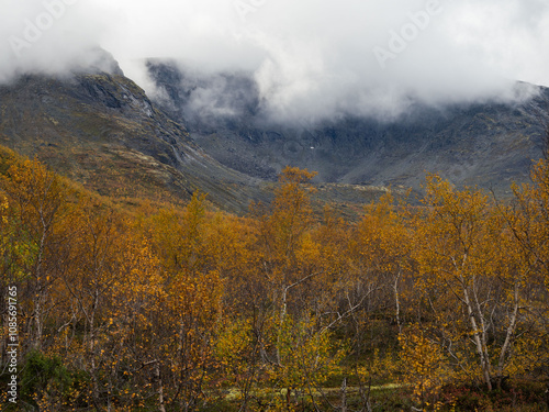 A typical autumn foggy landscape in the Khibiny Mountains in early autumn on the Kola Peninsula in the Arctic Circle