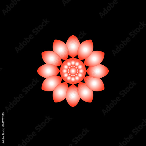 red and white flower