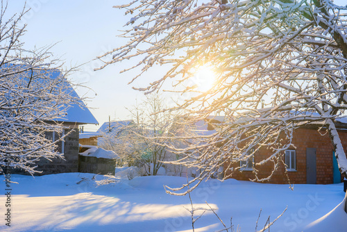 Sunny frosty day in the countryside in Russia. Tree branches covered with snow
