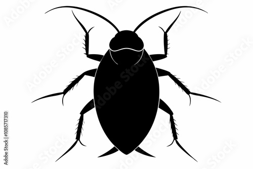 Cockroach silhouette, cockroach icon vector on white background