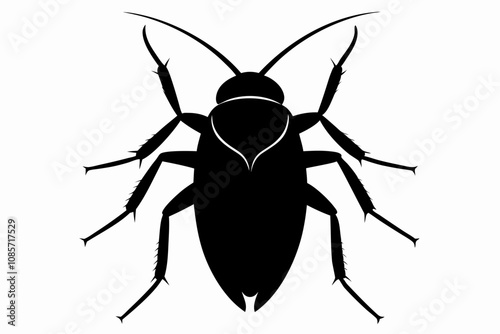 Cockroach silhouette, cockroach icon vector on white background