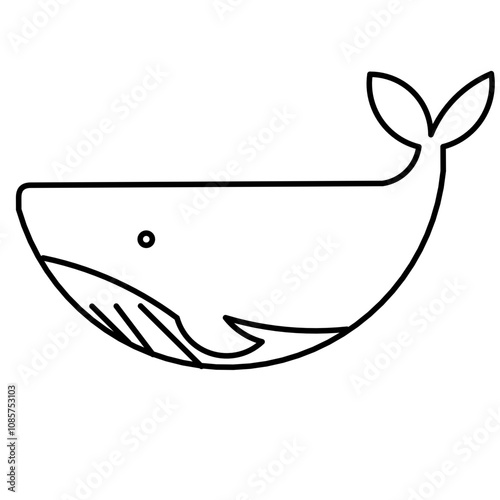 Vector of Whale