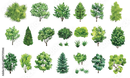 A set of vector outline trees designed for architectural drawings