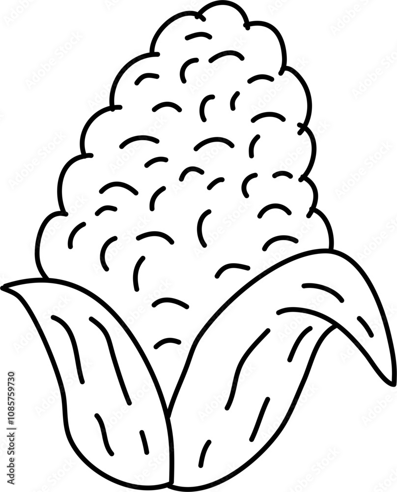 Fototapeta premium Corn sketch for coloring book illustration 