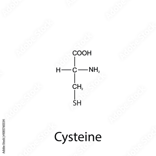 Chemical formula of cysteine. Essential amino acids. Organic chemistry. Vector.