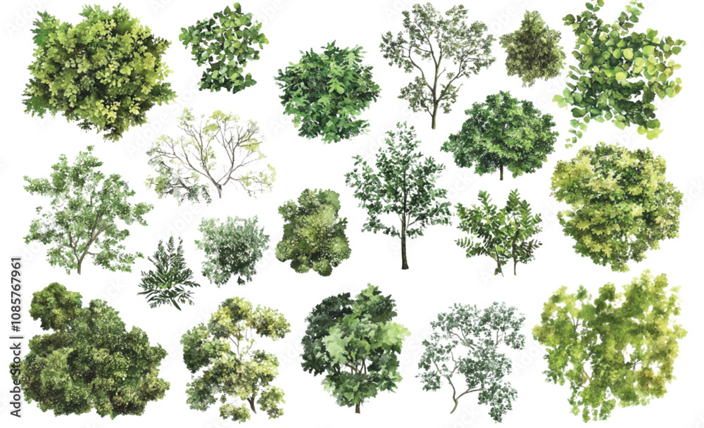A collection of minimalist vector outline trees, ideal for architectural plans