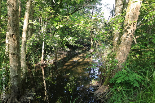 Blick auf den oberen Hartsee in der Gemeinde Gottmadingen in Baden-Württemberg photo