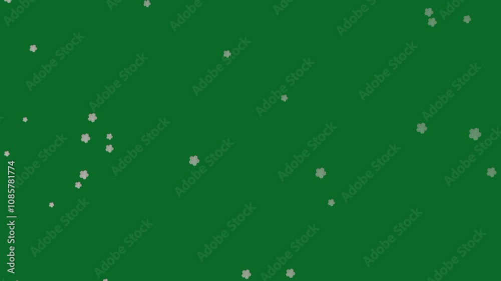 White flower petals drifting diagonally up-right on green screen background, seamless animation for spring, romantic, or creative floral-themed video overlays White flower petals drifting diagonally up-right on green screen background, seamless animation for spring, romantic, or creative floral-themed video overlays