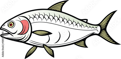 vector Drawing  of a attractive Bangladeshi hilsa fish 