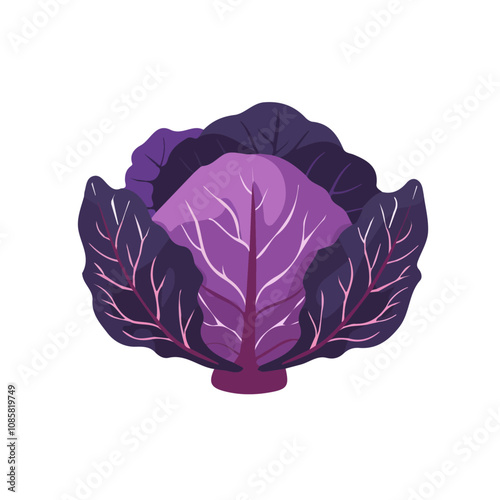 Simple flat 2D icon purple cabbage isolated on a transparent background, vector, flat design, animation design, vector, flat design, animation design, simple flat 2D icon, minimalist design