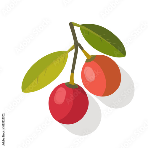 Simple flat 2D illustration of a Camu Camu isolated on a white background, vector 2D design