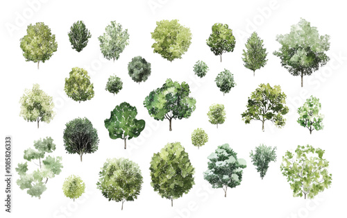 A collection of minimalist vector outline trees, ideal for architectural plans