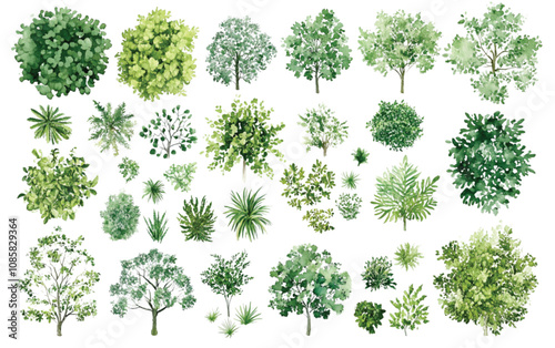 A collection of minimalist vector outline trees, ideal for architectural plans