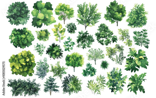 A collection of minimalist vector outline trees, ideal for architectural plans