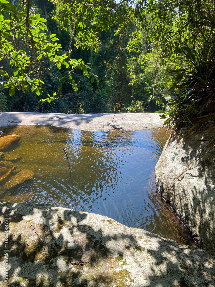 Fototapeta premium river in the forest