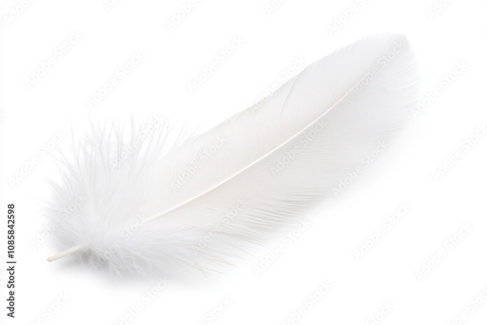 Obraz premium A delicate white feather laid gracefully, showcasing its soft texture and pure color against a clean, bright background. isolated on white background.