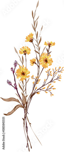 Hand drswn Winter flower botanical Illustration Elemet photo