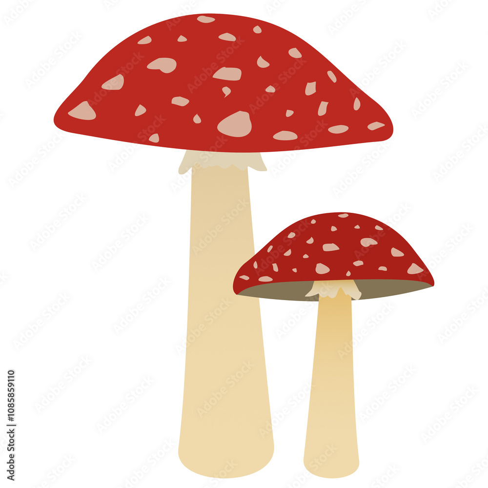 Fliegenpilz Fliegenpilz