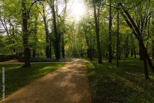 Obraz na płótnie Park w zieleni w salonie