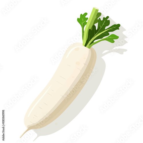 Simple flat 2D illustration of daikon radish isolated on a white background, vector, flat design, 2d flat design
