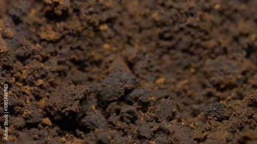 Coffee powder that will be dried as a craft material