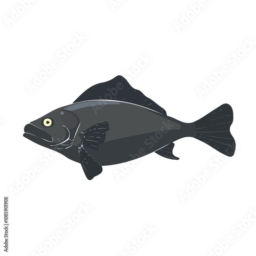 Simple flat 2D illustration of halibut isolated on a white background, ai, flat 2d design, ideal for animation, UI/UX design, mobile apps, web design, digital illustrations