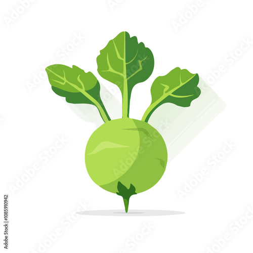 Simple flat 2D illustration of a kohlrabi isolated on a white background, vector 2D design, icon