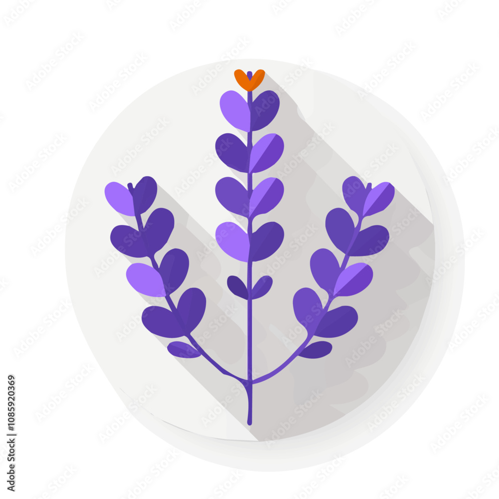 Simple flat 2D illustration of a lavender isolated on a white background, vector 2D design, icon, flat 2d Simple flat 2D illustration of a lavender isolated on a white background, vector 2D design, icon, flat 2d