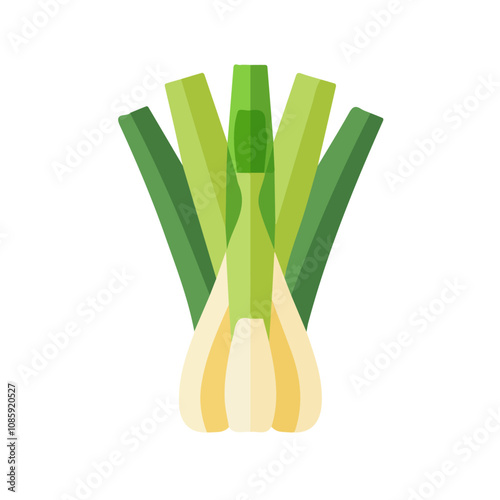 Simple flat 2D illustration of a leek isolated on a white background, vector 2D design, icon, flat 2d