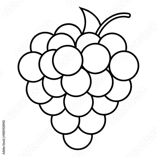 Grapes Line Art Vector Illustration on white Background