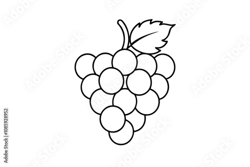 Grapes Line Art Vector Illustration on white Background