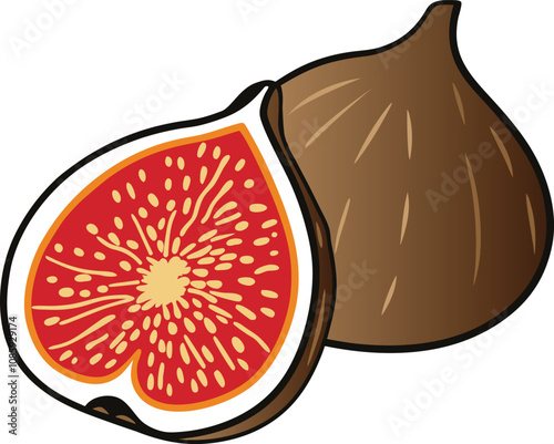 Fresh Fig Fruit Colorful Vector Illustration