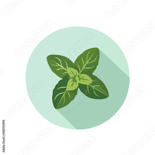 Simple flat 2D illustration of mint leaves branch isolated on a white background, ai, vector mint leaves branch icon set, simple design in flat circle